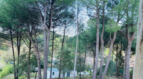 Mobil home de standing aux portes des Cévennes sur un terrain ombragé et arboré